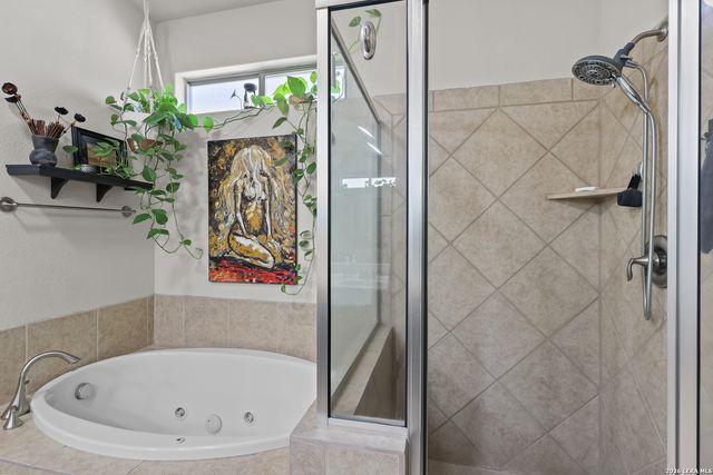 3 Spring Lake, San Antonio, TX 78248