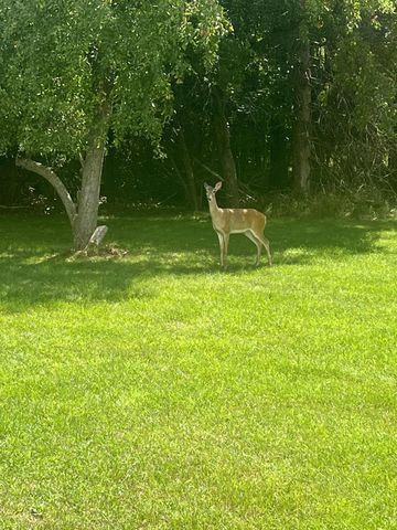 448 S Division Street, Newaygo City, MI 49337