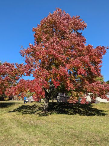 448 S Division Street, Newaygo City, MI 49337