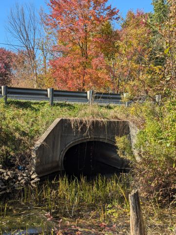 448 S Division Street, Newaygo City, MI 49337