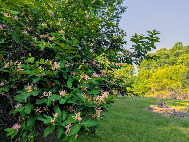 448 S Division Street, Newaygo City, MI 49337