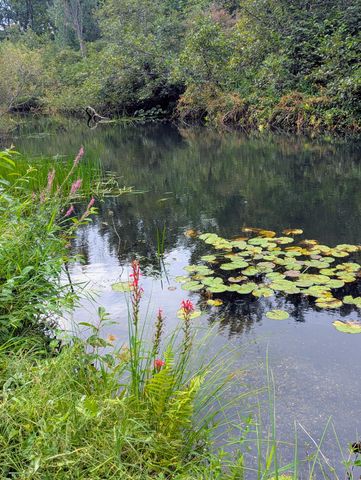 448 S Division Street, Newaygo City, MI 49337