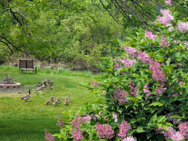 448 S Division Street, Newaygo City, MI 49337