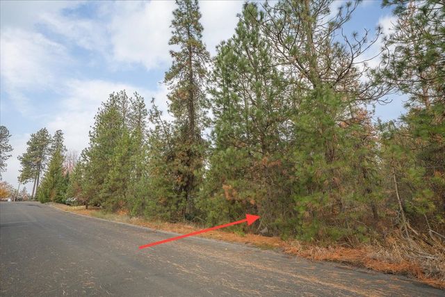 201xx W Waterside Ct, Medical Lake, WA 99022