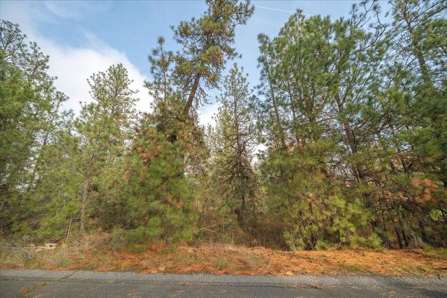 201xx W Waterside Ct, Medical Lake, WA 99022