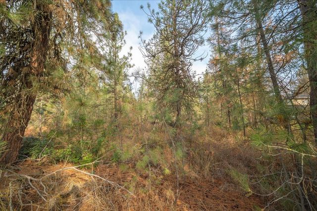 201xx W Waterside Ct, Medical Lake, WA 99022