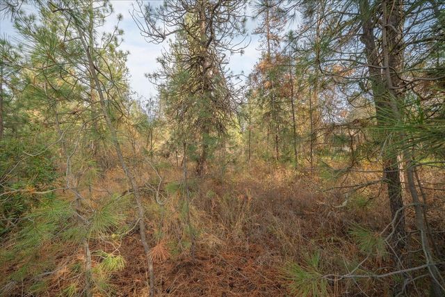 201xx W Waterside Ct, Medical Lake, WA 99022