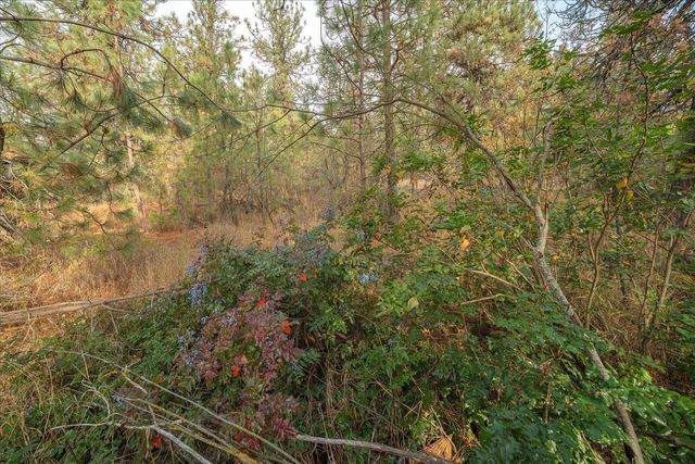 201xx W Waterside Ct, Medical Lake, WA 99022
