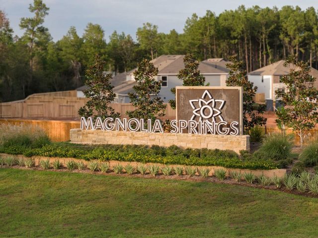 25127 Pomegranate Place, Montgomery, TX 77316