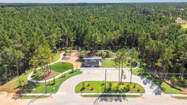 25127 Pomegranate Place, Montgomery, TX 77316