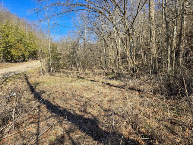 Tracts 1B 1G 1F 545 Carman Creek Road, Kings Mountain, KY 40442