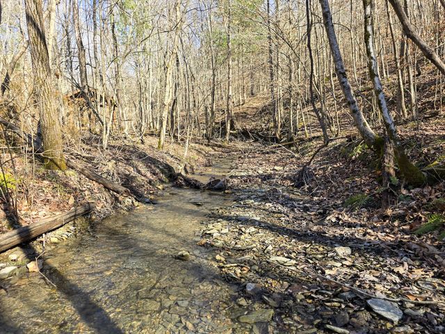 Tracts 1B 1G 1F 545 Carman Creek Road, Kings Mountain, KY 40442