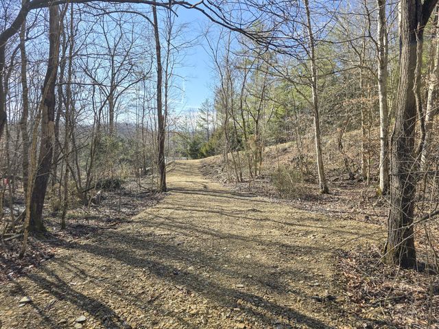 Tracts 1B 1G 1F 545 Carman Creek Road, Kings Mountain, KY 40442