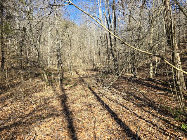 Tracts 1B 1G 1F 545 Carman Creek Road, Kings Mountain, KY 40442