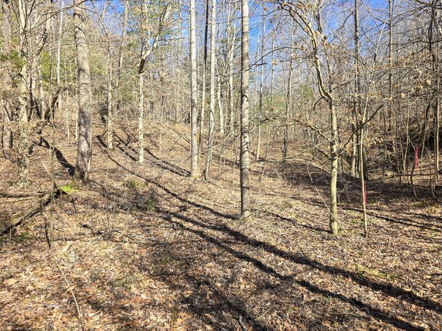 Tracts 1B 1G 1F 545 Carman Creek Road, Kings Mountain, KY 40442