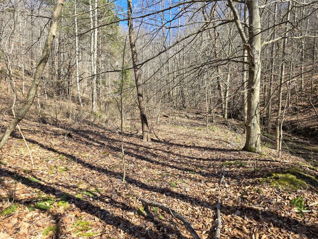 Tracts 1B 1G 1F 545 Carman Creek Road, Kings Mountain, KY 40442