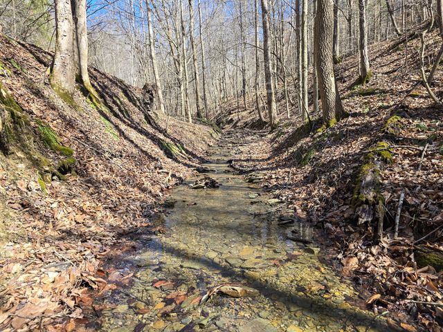 Tracts 1B 1G 1F 545 Carman Creek Road, Kings Mountain, KY 40442