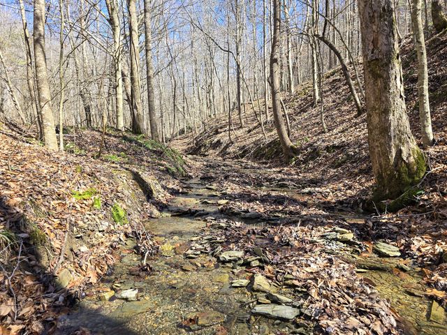 Tracts 1B 1G 1F 545 Carman Creek Road, Kings Mountain, KY 40442