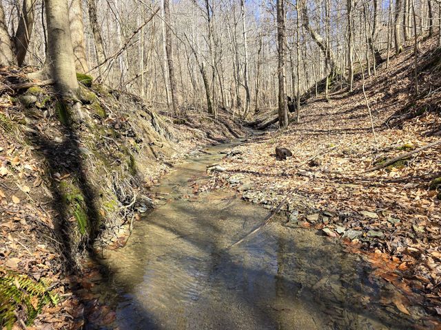 Tracts 1B 1G 1F 545 Carman Creek Road, Kings Mountain, KY 40442