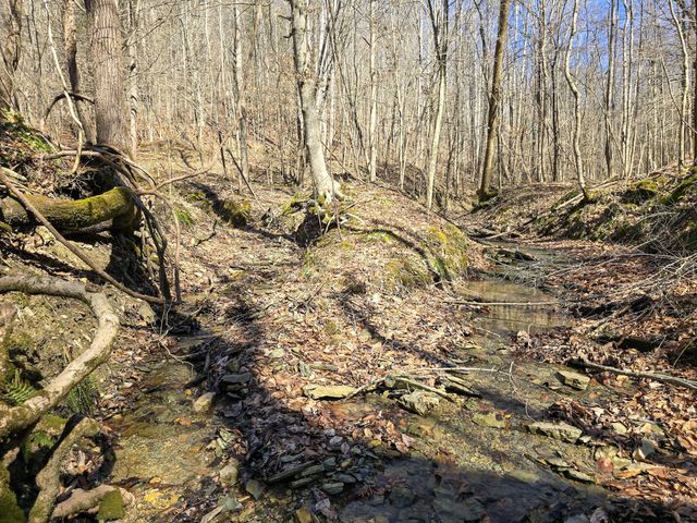 Tracts 1B 1G 1F 545 Carman Creek Road, Kings Mountain, KY 40442