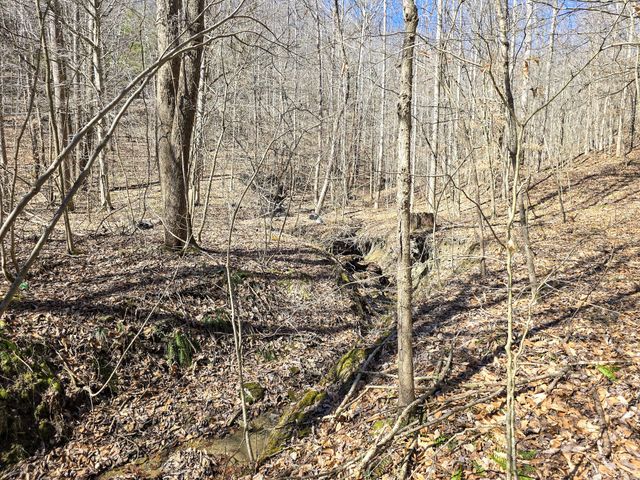 Tracts 1B 1G 1F 545 Carman Creek Road, Kings Mountain, KY 40442