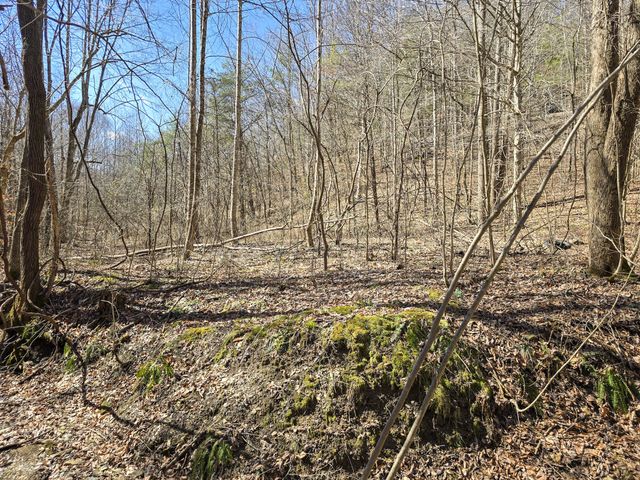 Tracts 1B 1G 1F 545 Carman Creek Road, Kings Mountain, KY 40442