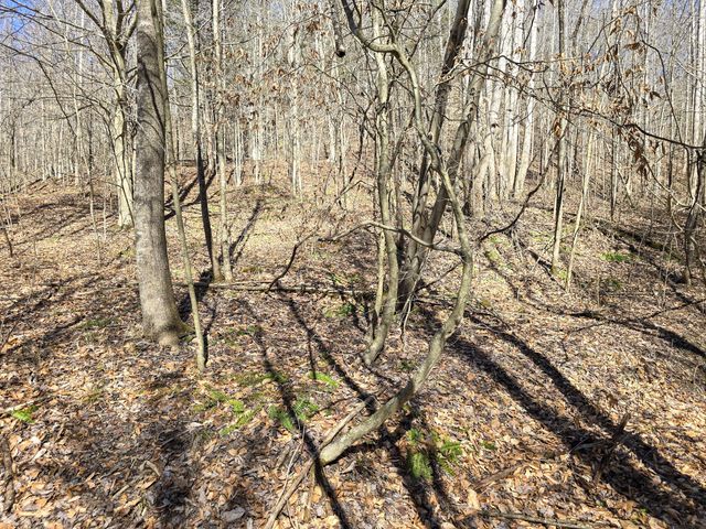 Tracts 1B 1G 1F 545 Carman Creek Road, Kings Mountain, KY 40442