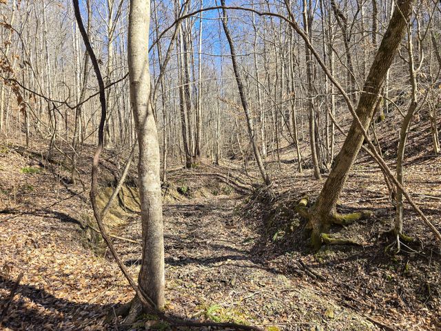 Tracts 1B 1G 1F 545 Carman Creek Road, Kings Mountain, KY 40442