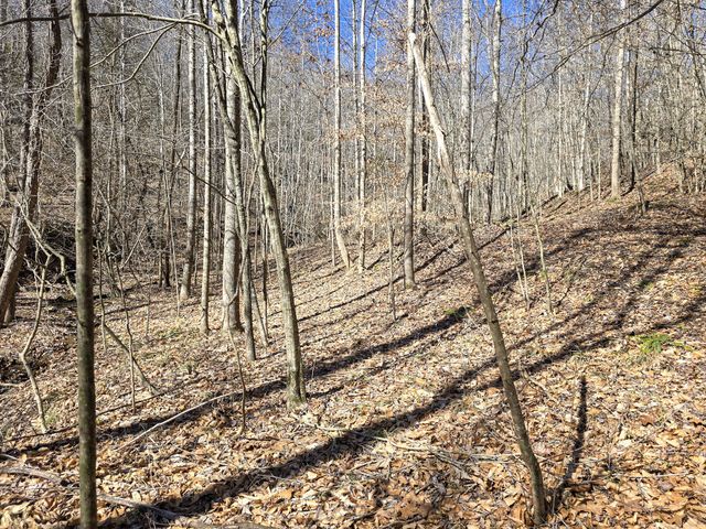Tracts 1B 1G 1F 545 Carman Creek Road, Kings Mountain, KY 40442