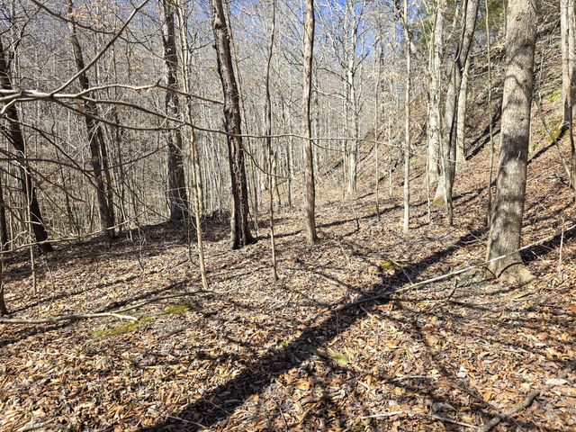 Tracts 1B 1G 1F 545 Carman Creek Road, Kings Mountain, KY 40442