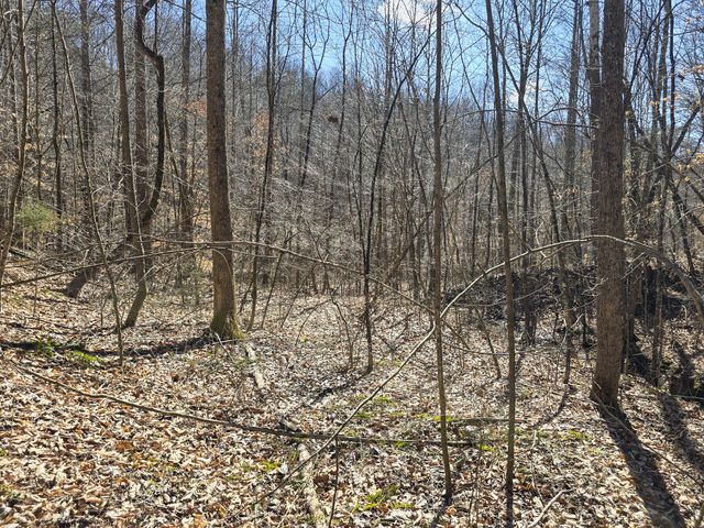 Tracts 1B 1G 1F 545 Carman Creek Road, Kings Mountain, KY 40442