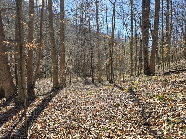 Tracts 1B 1G 1F 545 Carman Creek Road, Kings Mountain, KY 40442