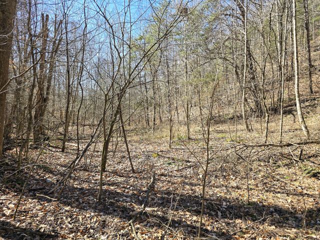 Tracts 1B 1G 1F 545 Carman Creek Road, Kings Mountain, KY 40442