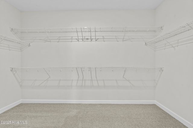 156 Quarter Horse Loop, Hertford, NC 27944