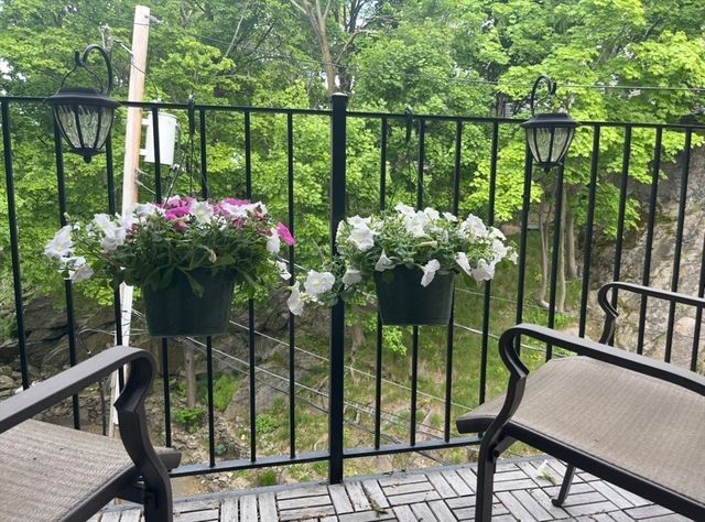 10 Linda Lane 48, Boston, MA 02125