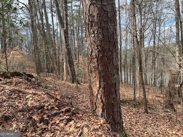 0 Lower Dixie Lake Road, Union City, GA 30291