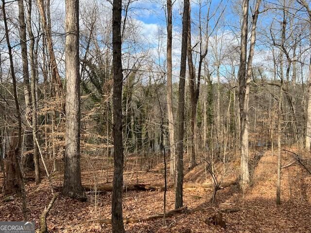 0 Lower Dixie Lake Road, Union City, GA 30291
