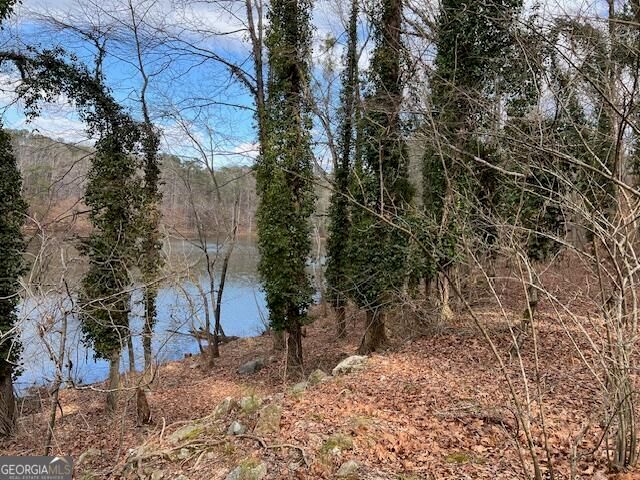 0 Lower Dixie Lake Road, Union City, GA 30291