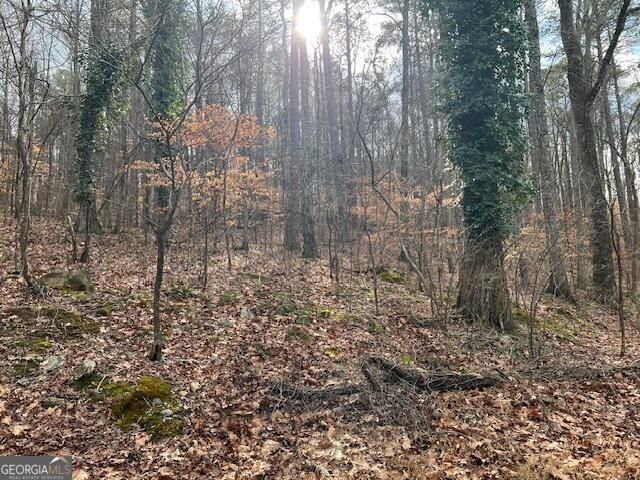 0 Lower Dixie Lake Road, Union City, GA 30291