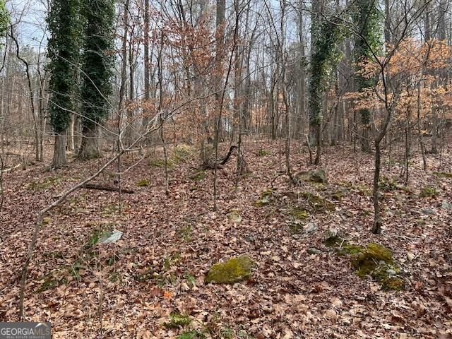 0 Lower Dixie Lake Road, Union City, GA 30291