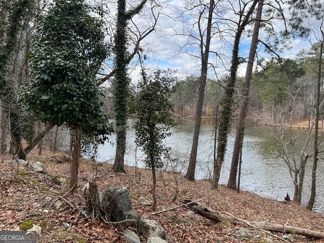 0 Lower Dixie Lake Road, Union City, GA 30291