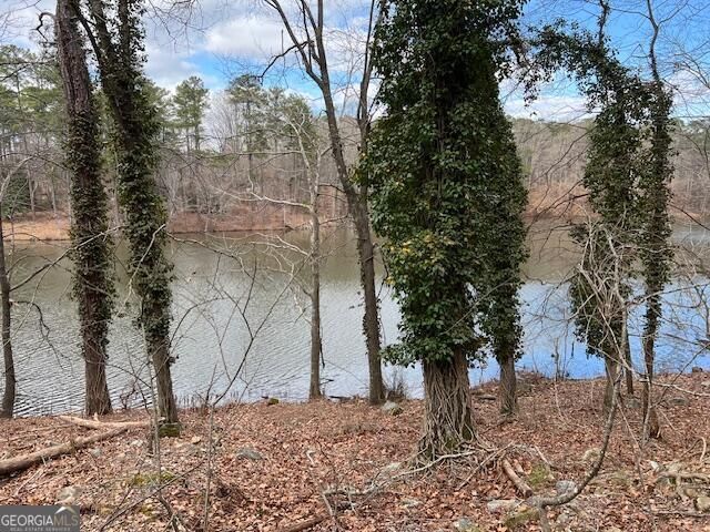 0 Lower Dixie Lake Road, Union City, GA 30291