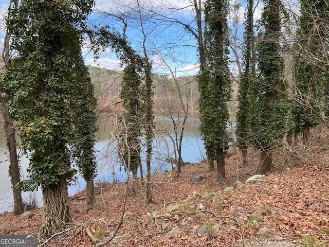 0 Lower Dixie Lake Road, Union City, GA 30291