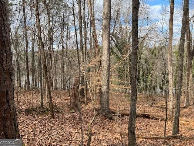 0 Lower Dixie Lake Road, Union City, GA 30291