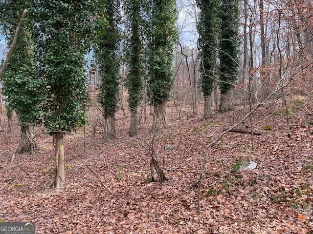 0 Lower Dixie Lake Road, Union City, GA 30291