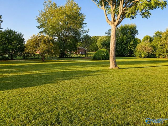 244 Frances Amelia Drive, Huntsville, AL 35811
