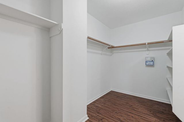 29003 Pine Forest Drive, Magnolia, TX 77355