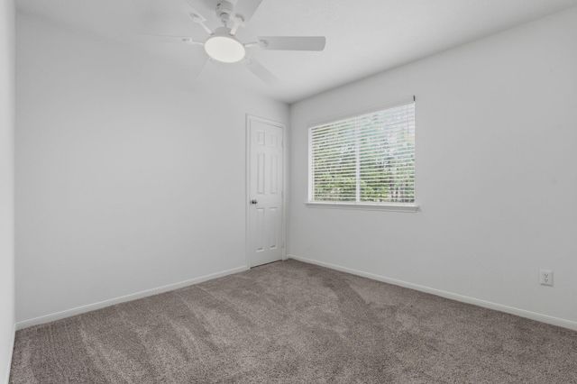 29003 Pine Forest Drive, Magnolia, TX 77355