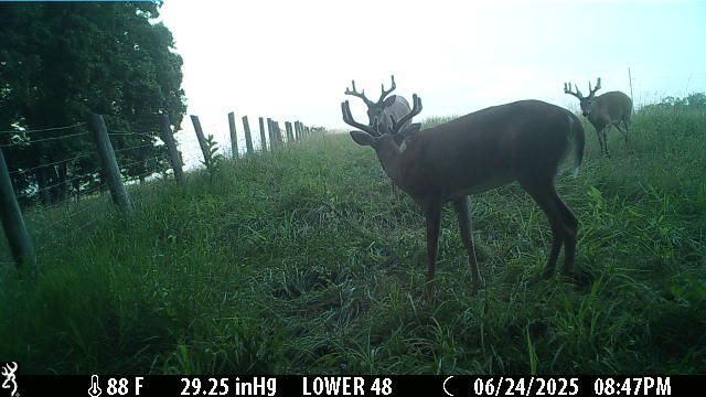 1121 Ashby Road, Lawrenceburg, KY 40342