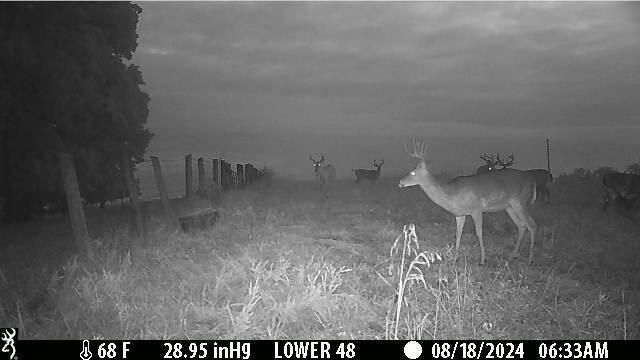 1121 Ashby Road, Lawrenceburg, KY 40342